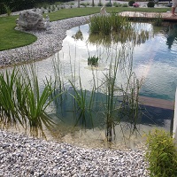 Referenčne slike naravnih-bioloških bazenov