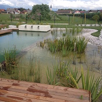 Referenčne slike naravnih-bioloških bazenov