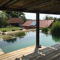 Referenčne slike naravnih-bioloških bazenov