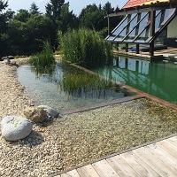 Referenčne slike naravnih-bioloških bazenov