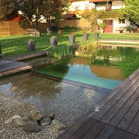 Referenčne slike naravnih-bioloških bazenov