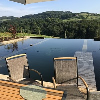 Referenčne slike naravnih-bioloških bazenov