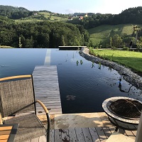 Referenčne slike naravnih-bioloških bazenov