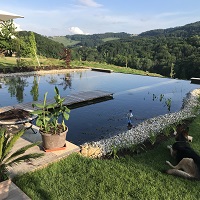 Referenčne slike naravnih-bioloških bazenov