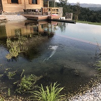 Referenčne slike naravnih-bioloških bazenov