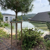 Referenčne slike naravnih-bioloških bazenov